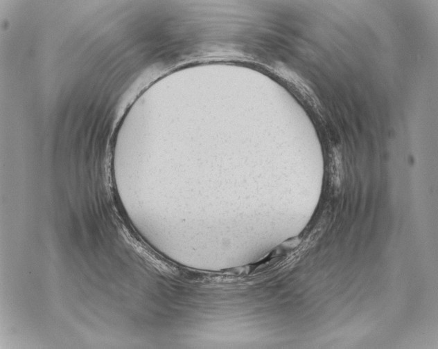 X0000070391374200607072208