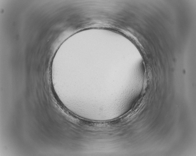 X0000070391375200607072208