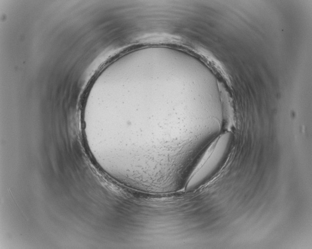 X0000070391376200607072208