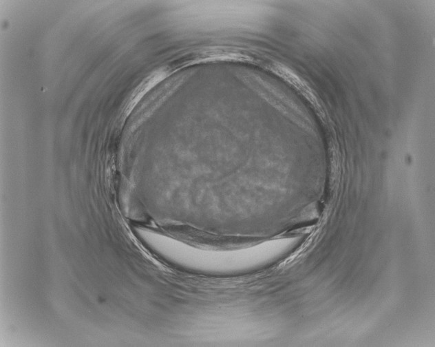 X0000070391377200607072208