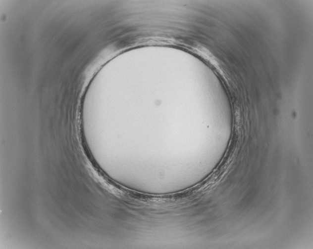 X0000070391379200607072208