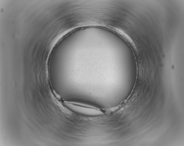 X0000070391380200607072208