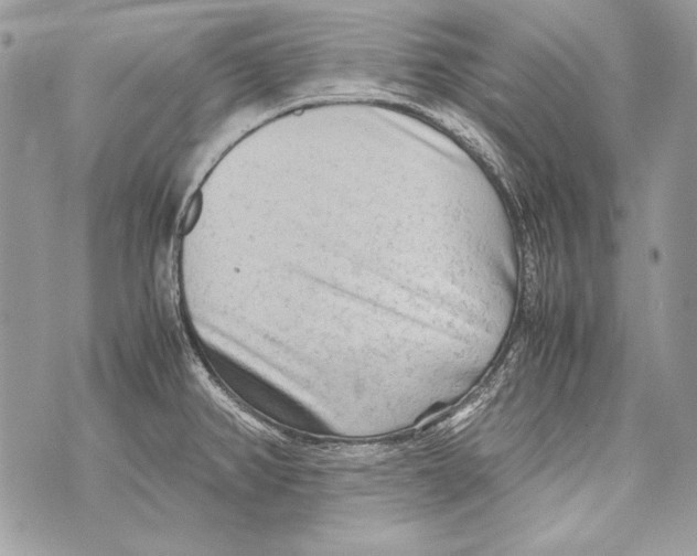 X0000070391382200607072208