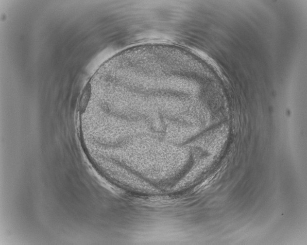 X0000070391383200607072208