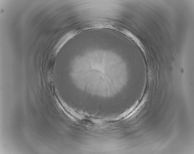 X0000070391385200607072208