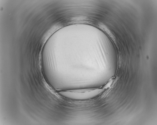 X0000070391386200607072208