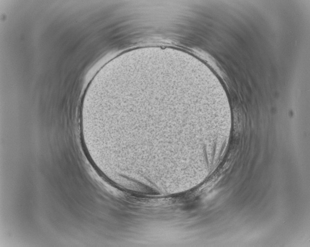 X0000070391387200607072208