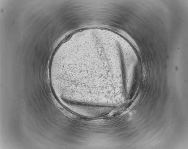 X0000070391388200607072208