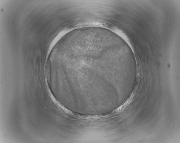 X0000070391389200607072208