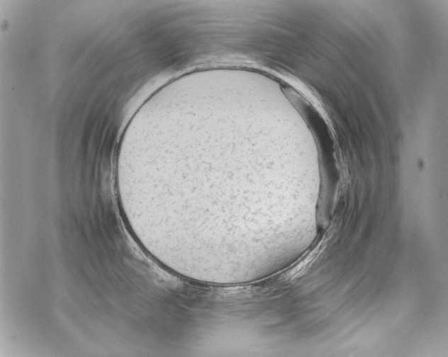 X0000070391390200607072208