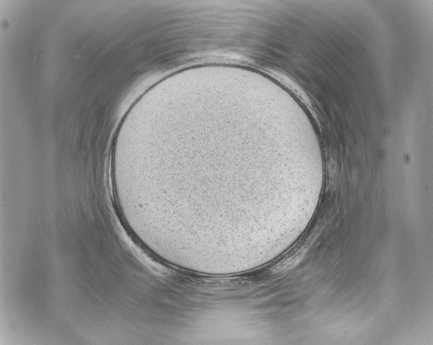 X0000070391391200607072208