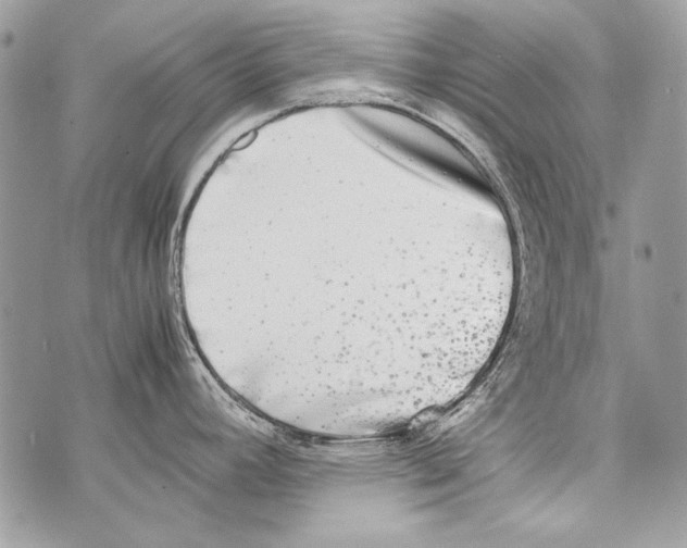 X0000070391392200607072208