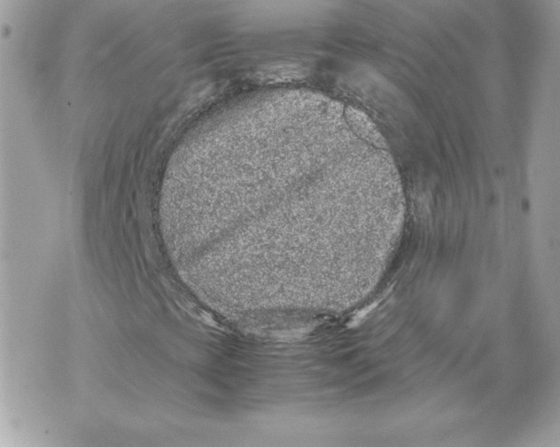 X0000070391393200607072207