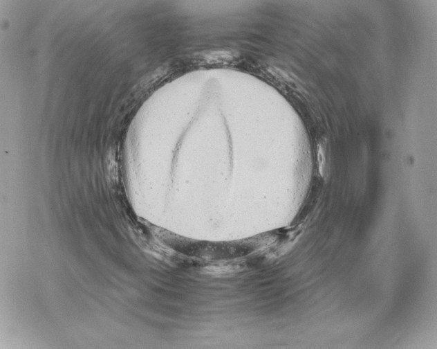 X0000070391395200607072207