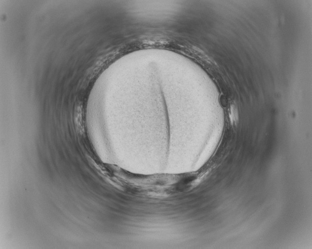 X0000070391396200607072207