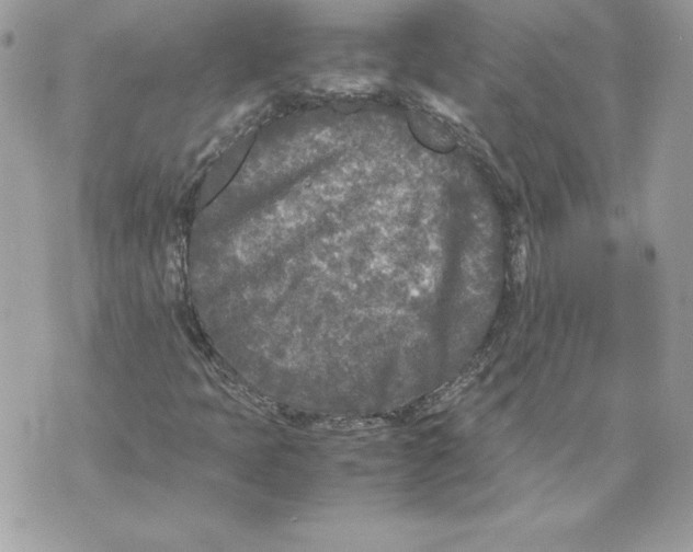 X0000070391397200607072207