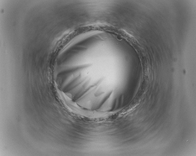 X0000070391398200607072207