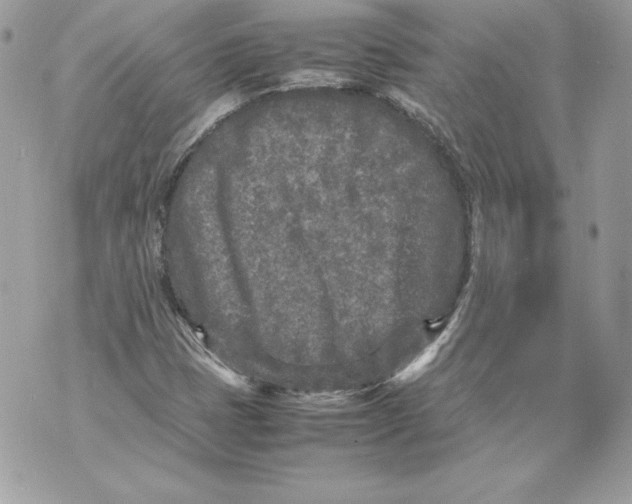 X0000070391401200607072207