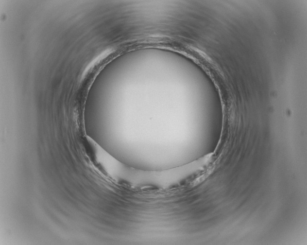 X0000070391402200607072207