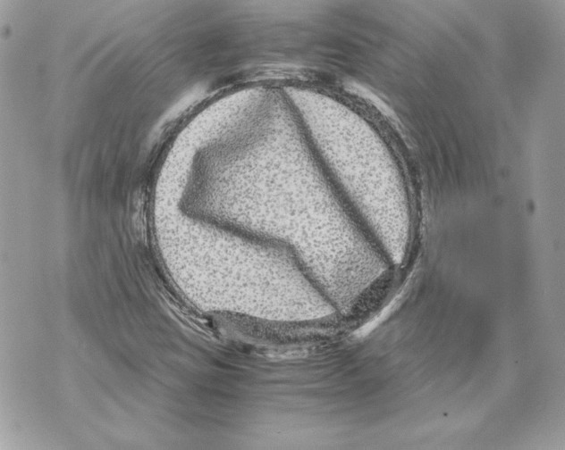 X0000070391403200607072207