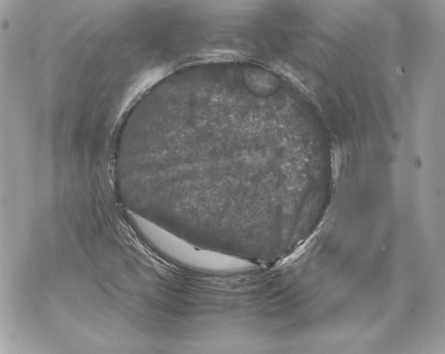 X0000070391405200607072207