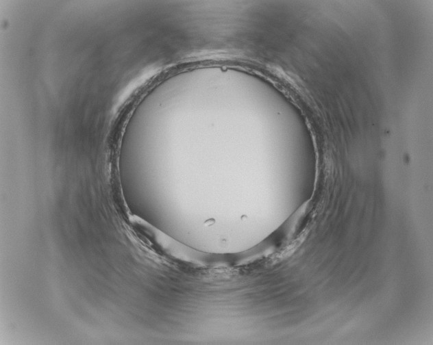 X0000070391406200607072207