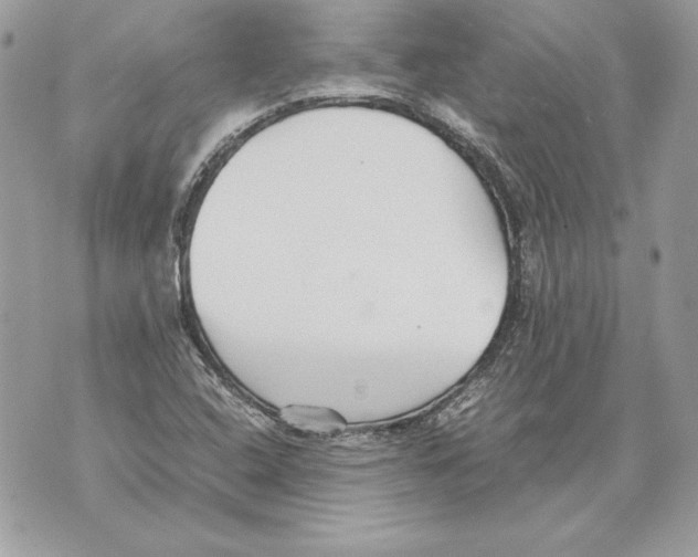 X0000070391408200607072207