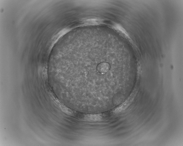 X0000070391409200607072207