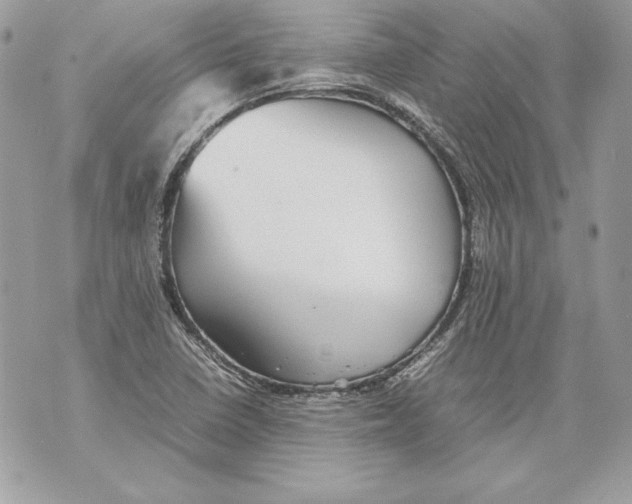 X0000070391410200607072207