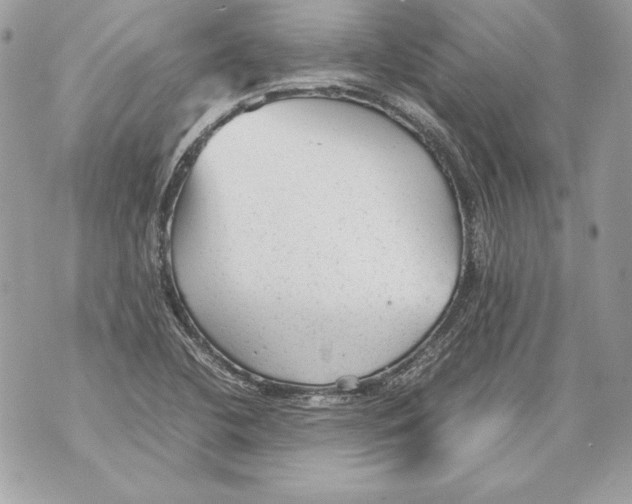 X0000070391412200607072207