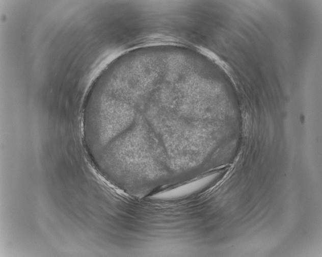 X0000070391415200607072207