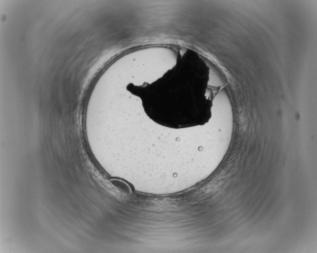 X0000070391416200607072208