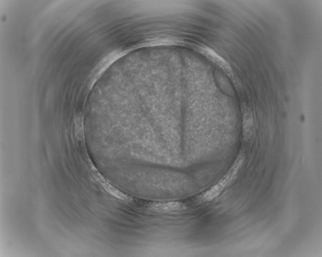 X0000070391417200607072208