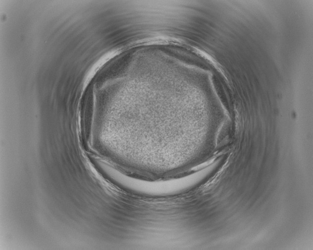 X0000070391418200607072208