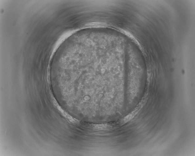 X0000070391421200607072208