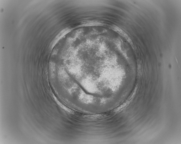 X0000070391425200607072208