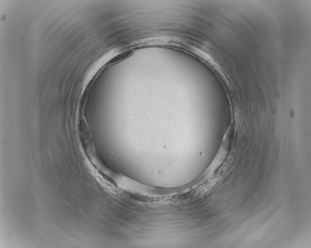 X0000070391426200607072208