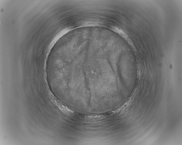 X0000070391427200607072208