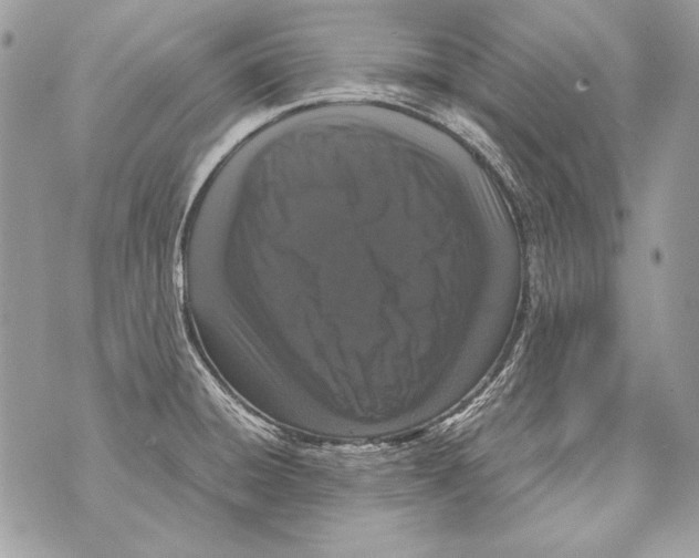 X0000070391428200607072208