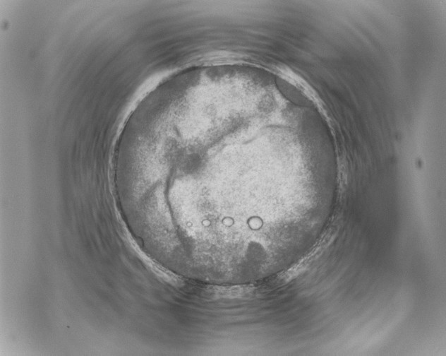 X0000070391429200607072208