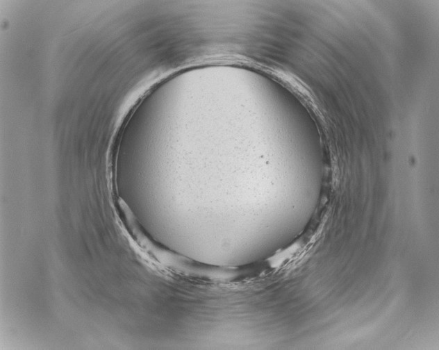 X0000070391430200607072208