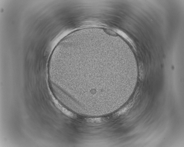 X0000070391431200607072208