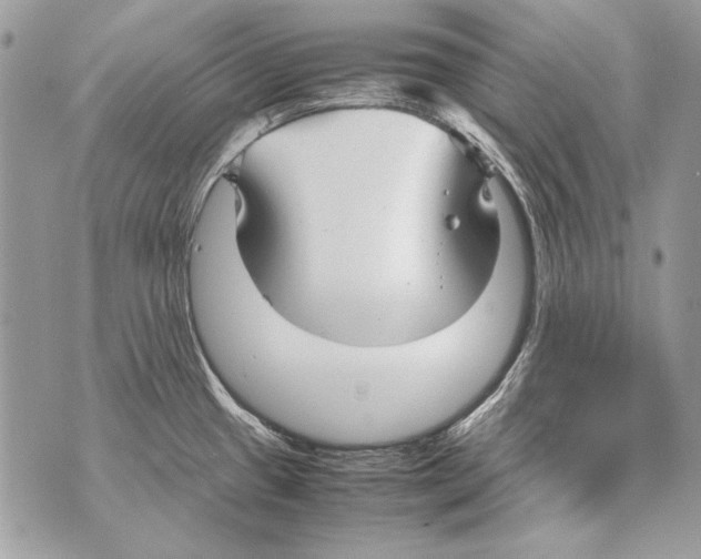 X0000070391433200607072208