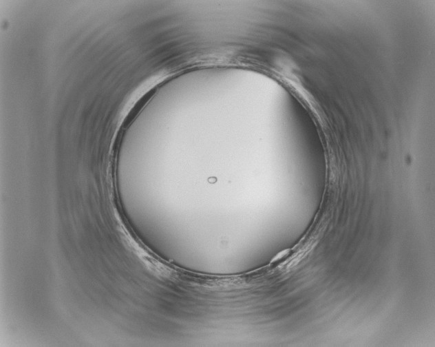 X0000070391434200607072208