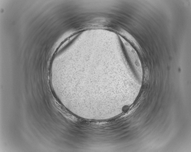 X0000070391435200607072208