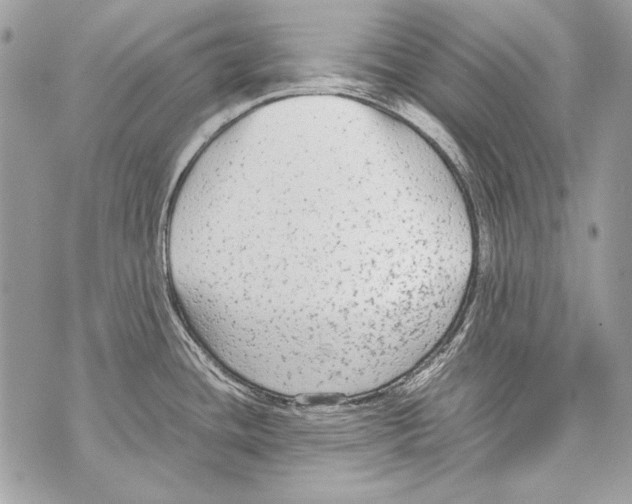 X0000070391436200607072208