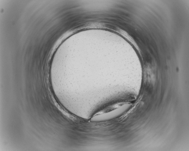 X0000070391437200607072208