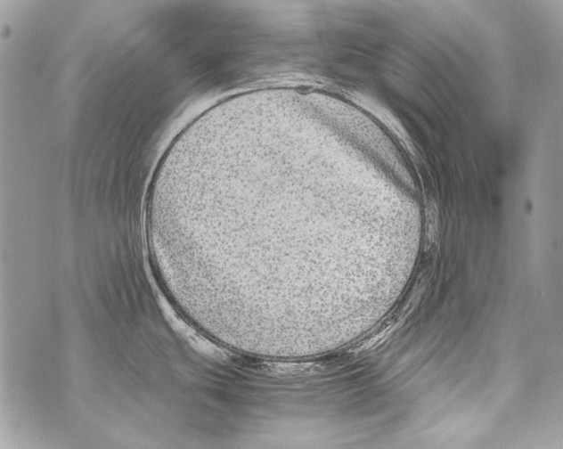 X0000070391439200607072208