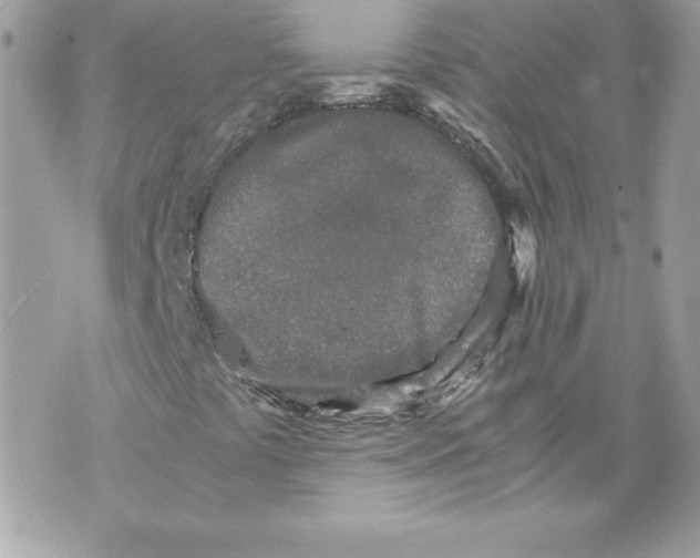 X0000070391441200607072207