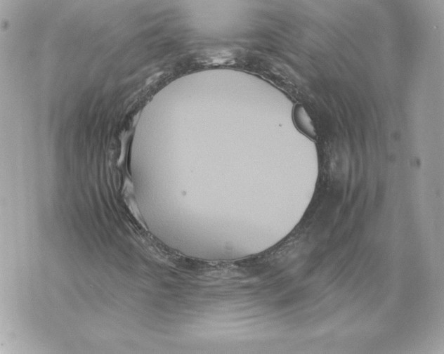 X0000070391442200607072207